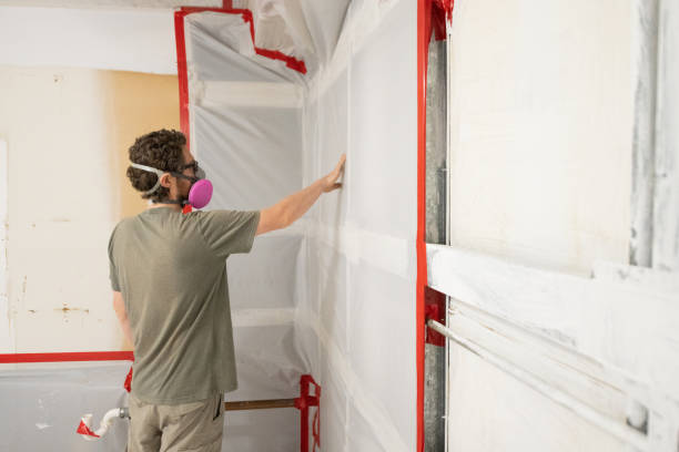  Chieand, FL Mold Removal Pros